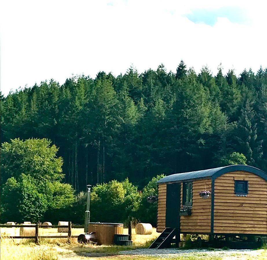 Roosters Retreat Villa Launceston Exterior foto